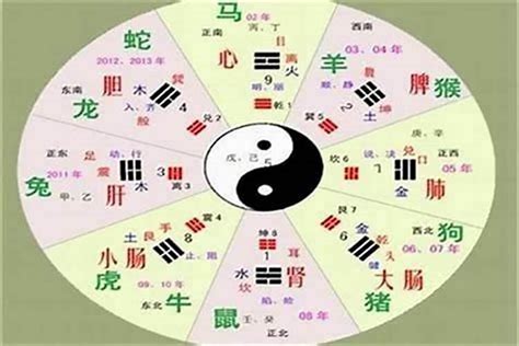 三字五行|汉字五行属性查询